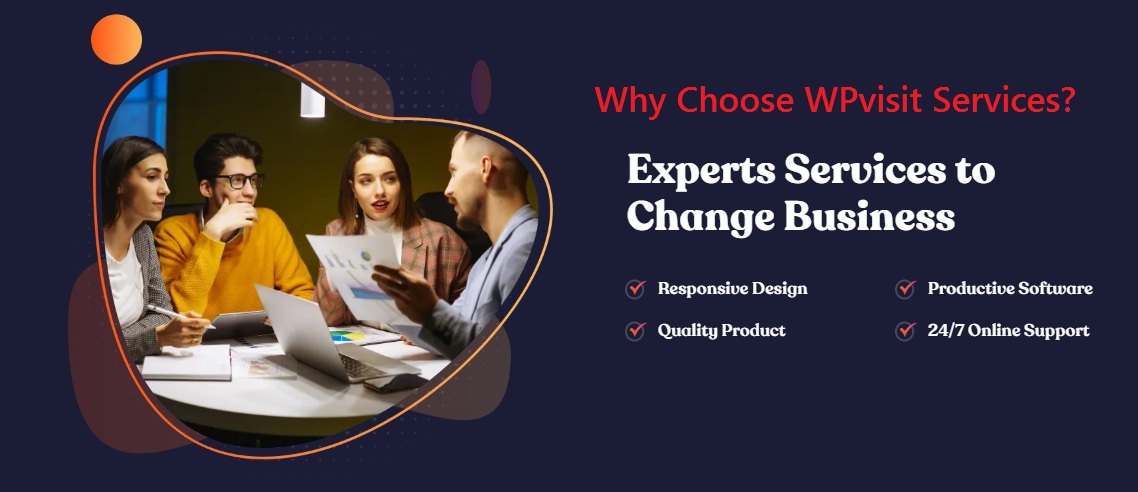 WPvisit experts services